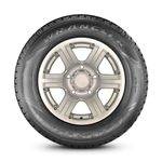 Pneu-Aro-17-Goodyear-Wrangler-Hp-All-Weather-255-65R17-110H-430323-02-hires