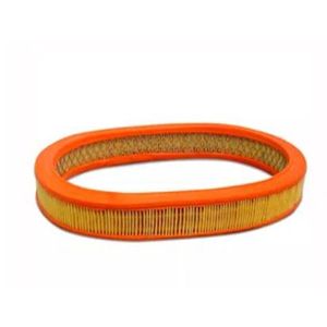 Filtro De Ar Do Motor For Belina Del Rey Escort Scala Tecfil Ar6084