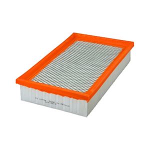 Filtro De Ar Motor Ca10094 Fram