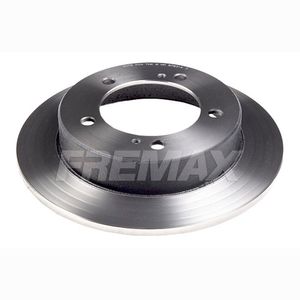 Par Disco Freio Dianteiro Solido Sem Cubo 290Mm 5 Furos Bd6970 Fremax