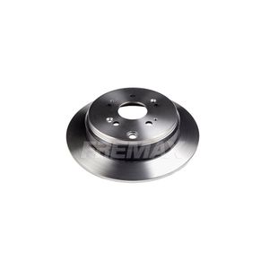 Par Disco Freio Traseiro Solido Sem Cubo 305Mm 5 Furos Bd2913 Fremax