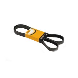 Correia Poly V 1051Mm 5Pk1051Elastt1 Contitech