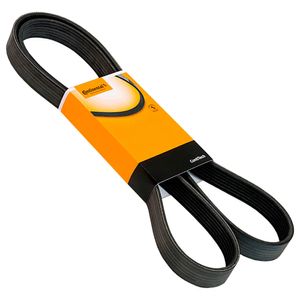Correia Poly V Contitech 4Pk1538 1538mm Terios