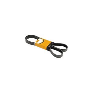Correia Poly V 8Pk1293 Contitech