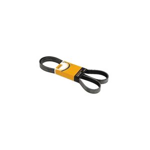 Correia Poly V 8Pk1660 Contitech