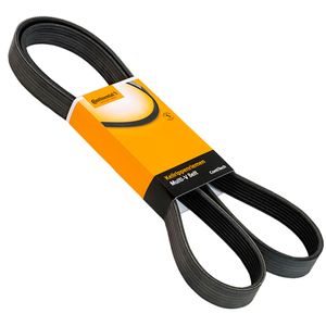 Correia Poly V Contitech 6Pk762 762mm Elástica