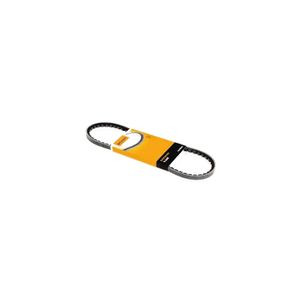 Correia Poly V Avx13X1505 Contitech