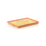 Filtro-De-Ar-Motor-C31671-Mann-DPS-54700-01