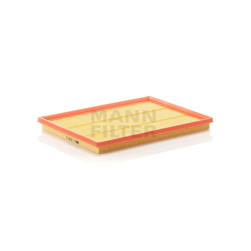 Filtro-De-Ar-Motor-C31671-Mann-DPS-54700-01