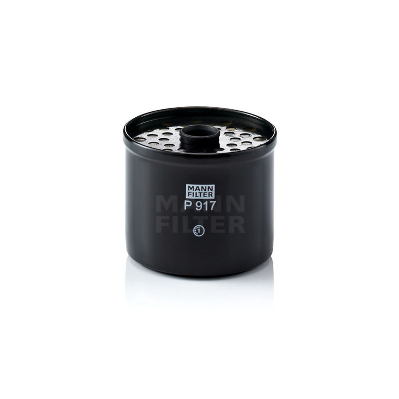 Filtro-De-Combustivel-F4000-F1000-Mann-Filter-P917X-DPS-54729-01