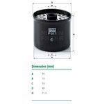 Filtro-De-Combustivel-F4000-F1000-Mann-Filter-P917X-DPS-54729-02