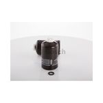 Filtro-De-Combustivel-F250-Bosch-0986450728-DPS-63909-04