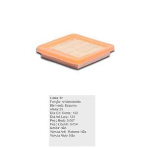 Filtro De Ar Do Motor Honda Biz Tecfil Arm4491