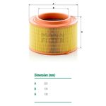 Filtro-De-Ar-Do-Motor-Ranger-Mann-Filter-C22024-DPS-7512325-02
