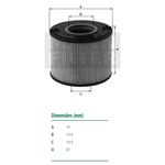 Filtro-De-Combustivel-Master-Mann-Filter-P7181X-DPS-90257-01