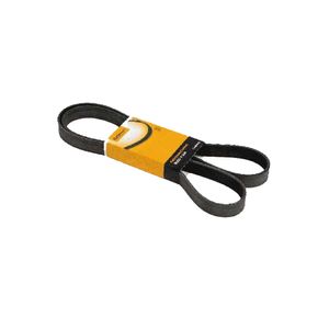 Correia Multi V 8Pk1230 Contitech