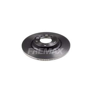 Par Disco Freio Dianteiro Solido Sem Cubo 290Mm 5 Furos Bd4609 Fremax
