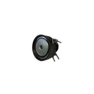Rolamento Tensor Correia Dentada 5310525300 Ina