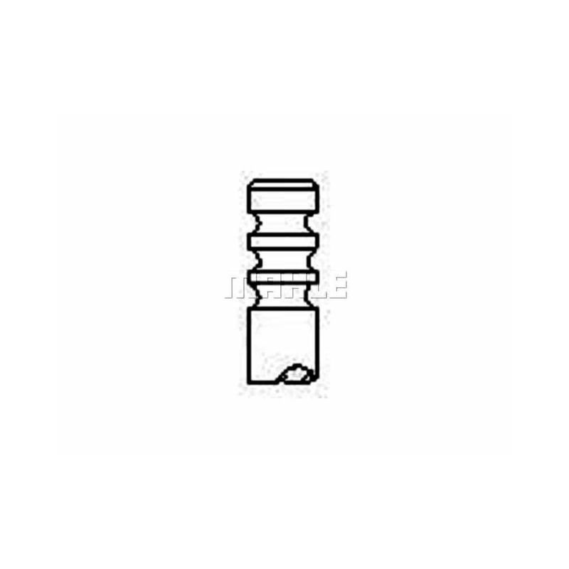 image-767bd0cacef74bca8414a54fb1a3e736