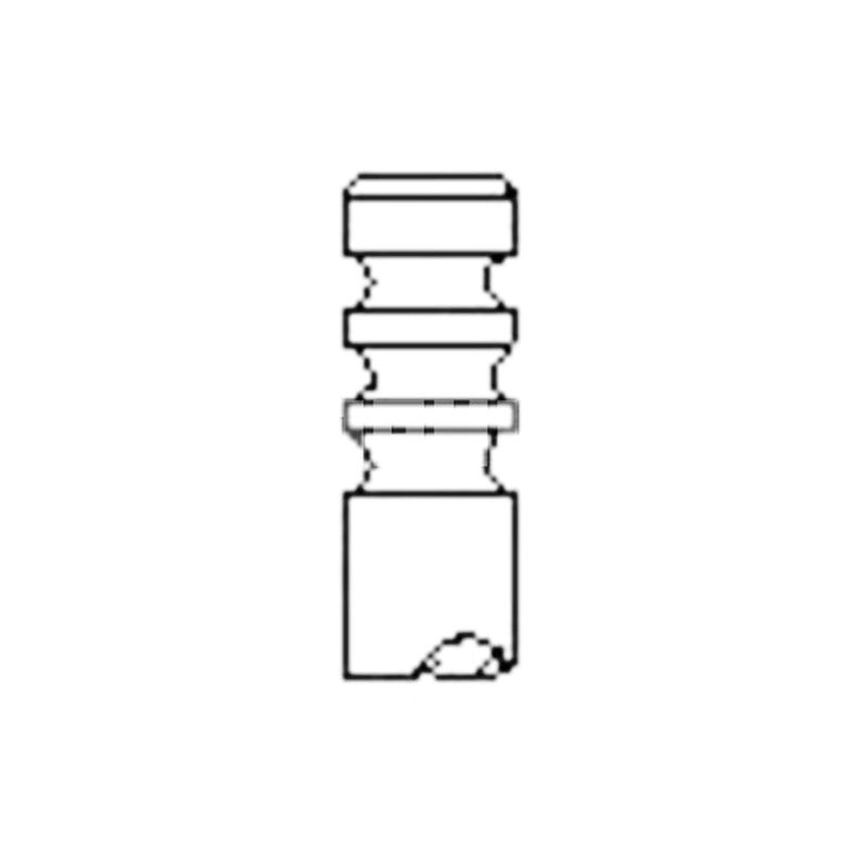 image-ec219bfa924543c0acda35ebd216890a