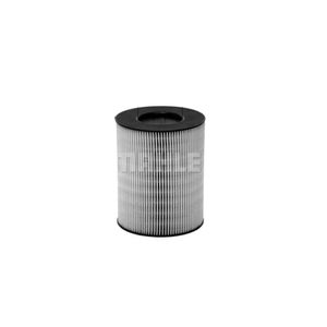 Engrenagem Comando E101 Mahle