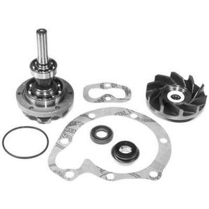 Reparo Bomba Dagua Sem Rolamento Nkbr051364 Nakata