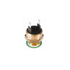 Interruptor Termico Radiador 601087 Wahler