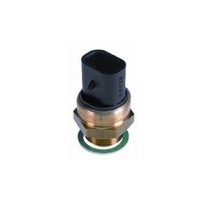Interruptor Termico Radiador 6031100 Wahler