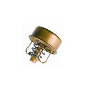 Valvula Termostatica Motor 82°C Sem Reparo 304982 Wahler