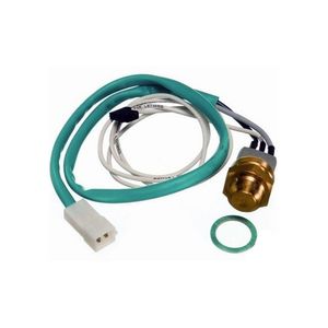 Interruptor Termico Radiador 603388 Wahler