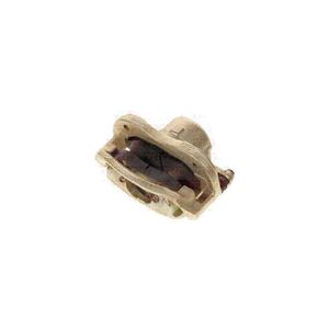 Cavalete Pinca Freio Disco Bandeirantes 3.8 8V Dianteiro Direito Trw Rcfd00100