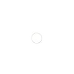 image-d10f02a9b5b44523b1ab411630d051d5