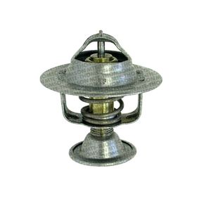 Valvula Termostatica Motor 87°C Sem Reparo 20887 Mte Thomson
