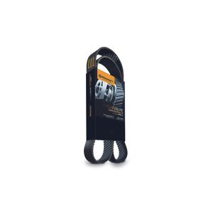 Correia Poly V 775Mm 4Pk0775Gb Continental Elite