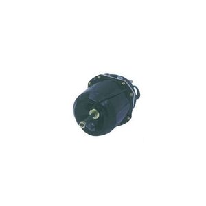 Cilindro Tristop 16,93Mm 9253242600 Wabco