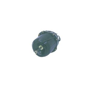Pistao Completo Cilindro Tristop 9253286282 Wabco