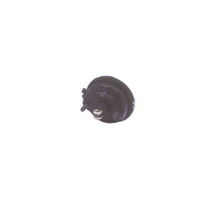 Cinta Cilindro 14 24 Pol 4230143504 Wabco