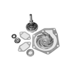 Reparo Bomba Dagua Com Rolamento Vkpc4693R Skf