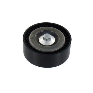 Polia Correia Servico Vkm34219A Skf