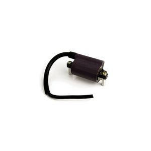 Bobina Ignicao  Intruder 90202420 Magnetron