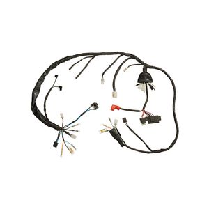 Chicote Principal  Cg Titan 90285220 Magnetron