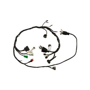 Chicote Principal Xr  90285370 Magnetron