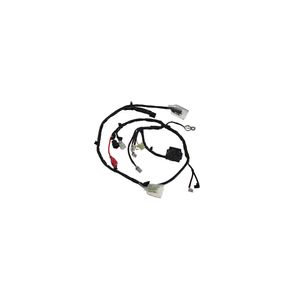 Chicote Principal  Biz 90285790 Magnetron