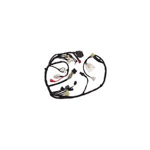 Chicote Principal Biz 90285800 Magnetron