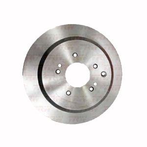 Par Disco Freio Traseiro Solido 324Mm 5 Furos  Rpdi04640 Trw