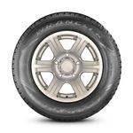 GOODYEAR_103359_SPK2