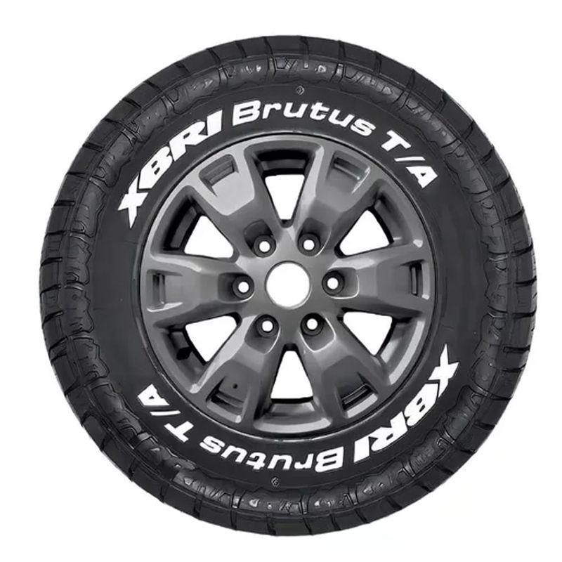 XBRI_BRUTUS-TA_FRENTE.jpg