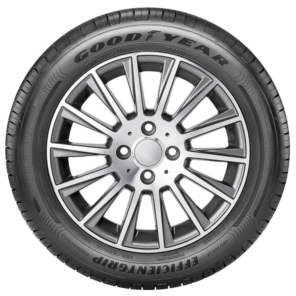Pneu Goodyear Efficientgrip Performance 205/55 R16 91v - 2 Unidades