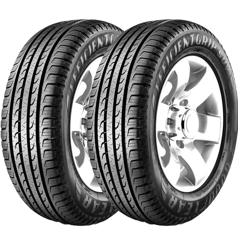 Pneu Goodyear Efficientgrip Suv 205/65 R16 95h - 2 Unidades